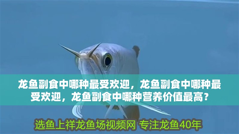 龍魚副食中哪種最受歡迎，龍魚副食中哪種最受歡迎，龍魚副食中哪種營(yíng)養(yǎng)價(jià)值最高？