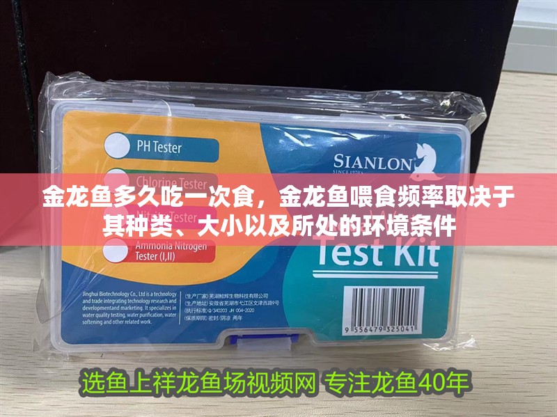 金龍魚多久吃一次食，金龍魚喂食頻率取決于其種類、大小以及所處的環境條件