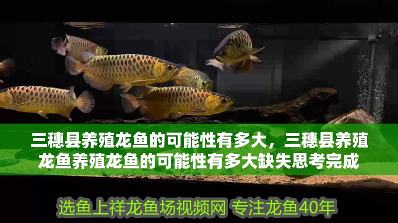 三穗縣養殖龍魚的可能性有多大，三穗縣養殖龍魚養殖龍魚的可能性有多大缺失思考完成