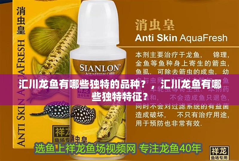 匯川龍魚有哪些獨特的品種？，匯川龍魚有哪些獨特特征？