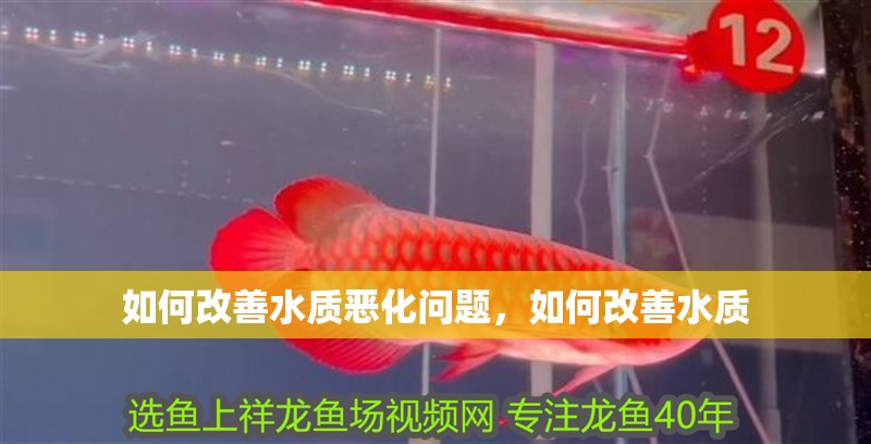 如何改善水質惡化問題，如何改善水質