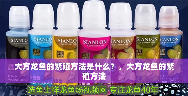 大方龍魚的繁殖方法是什么？，大方龍魚的繁殖方法