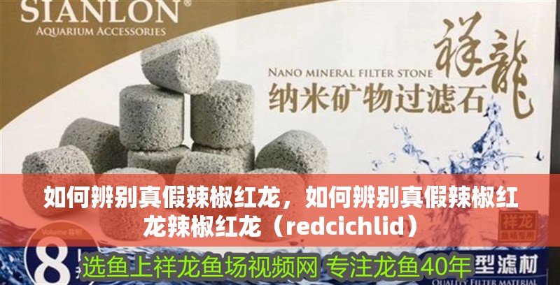 如何辨別真假辣椒紅龍，如何辨別真假辣椒紅龍辣椒紅龍（redcichlid）