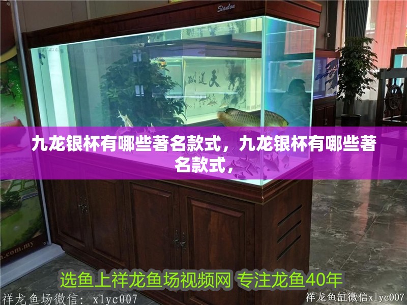 九龍銀杯有哪些著名款式，九龍銀杯有哪些著名款式，
