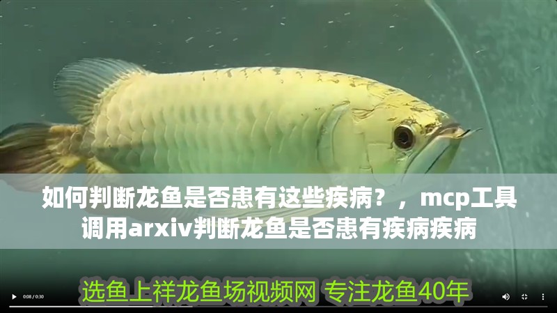 如何判斷龍魚是否患有這些疾病？，mcp工具調(diào)用arxiv判斷龍魚是否患有疾病疾病