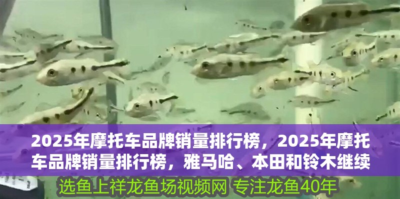 2025年摩托車品牌銷量排行榜，2025年摩托車品牌銷量排行榜，雅馬哈、本田和鈴木繼續穩居前三甲