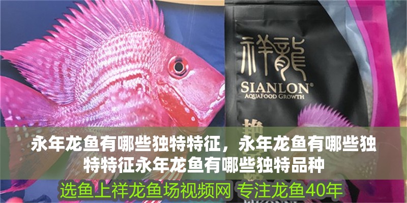 永年龍魚有哪些獨特特征，永年龍魚有哪些獨特特征永年龍魚有哪些獨特品種