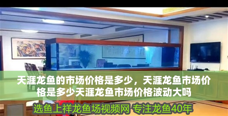 天涯龍魚的市場價格是多少，天涯龍魚市場價格是多少天涯龍魚市場價格波動大嗎