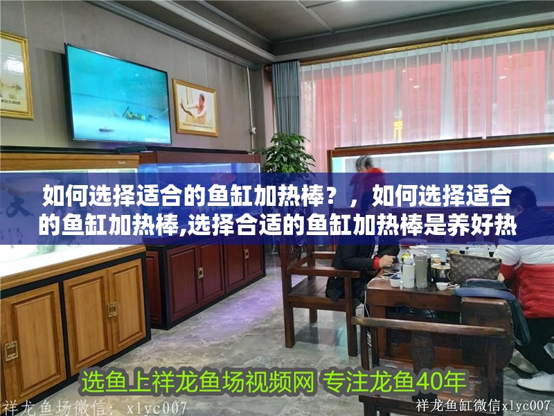 如何選擇適合的魚缸加熱棒？，如何選擇適合的魚缸加熱棒,選擇合適的魚缸加熱棒是養好熱帶魚的關鍵一步