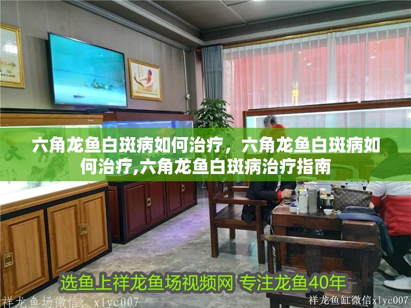 六角龍魚白斑病如何治療，六角龍魚白斑病如何治療,六角龍魚白斑病治療指南