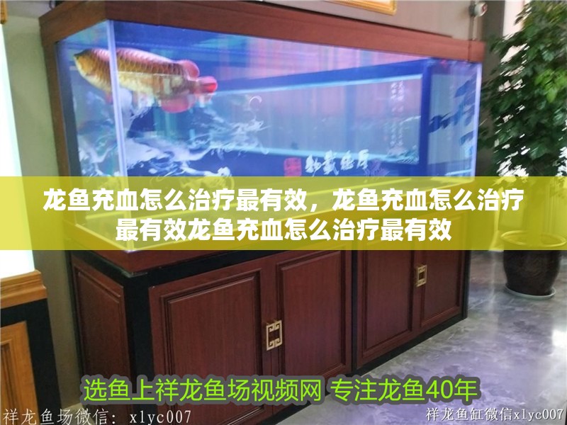 龍魚充血怎么治療最有效，龍魚充血怎么治療最有效龍魚充血怎么治療最有效