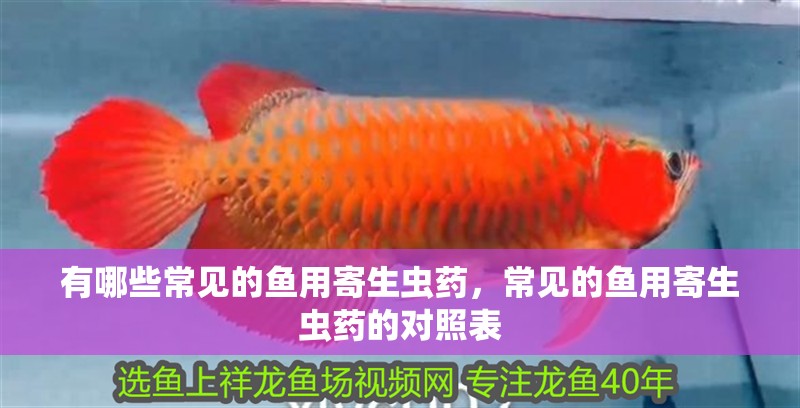 有哪些常見的魚用寄生蟲藥，常見的魚用寄生蟲藥的對照表