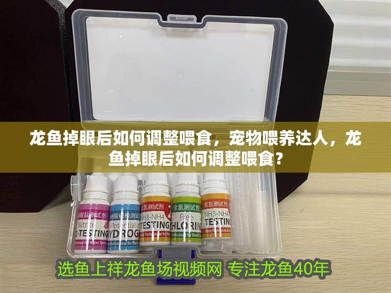龍魚掉眼后如何調整喂食，寵物喂養達人，龍魚掉眼后如何調整喂食？