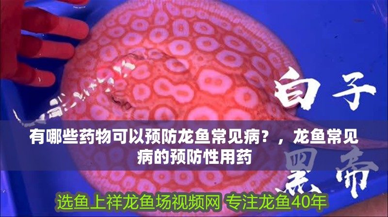 有哪些藥物可以預(yù)防龍魚常見病？，龍魚常見病的預(yù)防性用藥