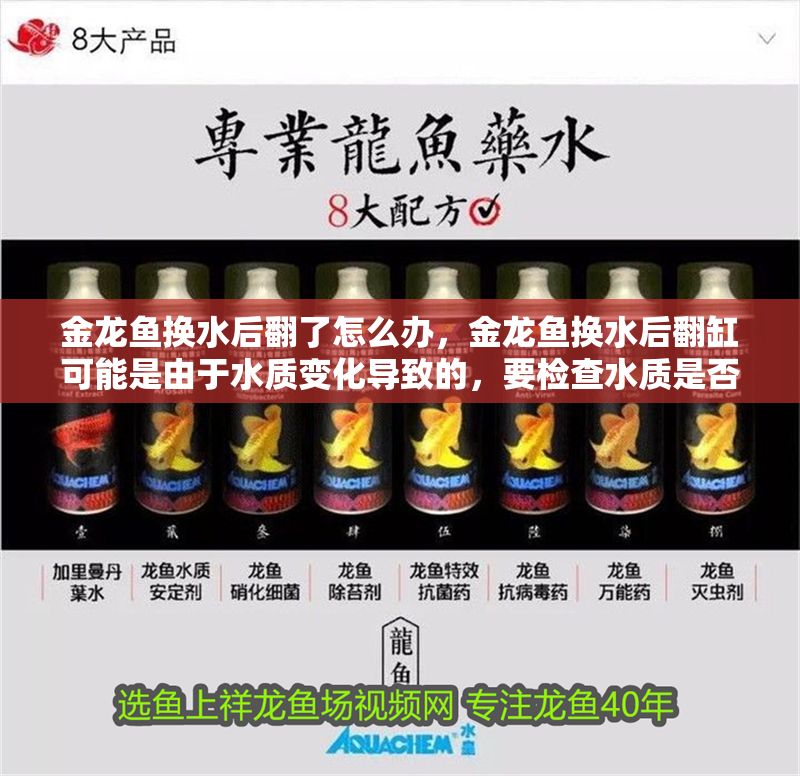 金龍魚換水后翻了怎么辦，金龍魚換水后翻缸可能是由于水質變化導致的，要檢查水質是否穩定