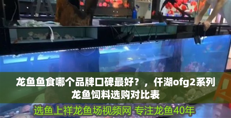龍魚魚食哪個品牌口碑最好？，仟湖ofg2系列龍魚飼料選購對比表