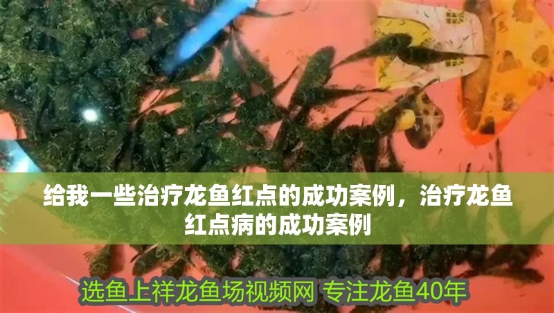 給我一些治療龍魚紅點(diǎn)的成功案例，治療龍魚紅點(diǎn)病的成功案例