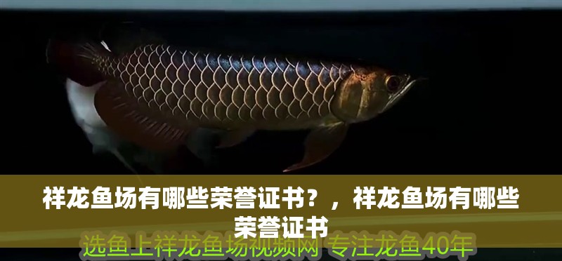 祥龍魚場有哪些榮譽證書？，祥龍魚場有哪些榮譽證書