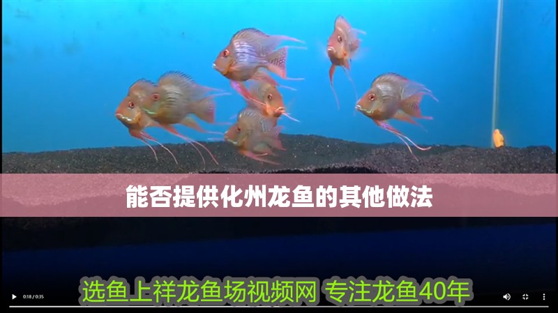 能否提供化州龍魚的其他做法