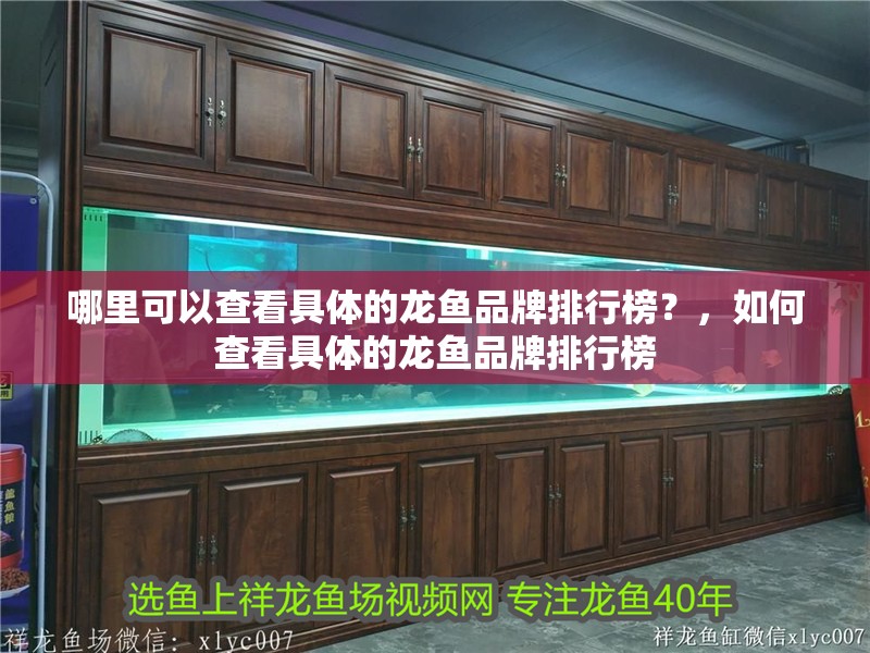 哪里可以查看具體的龍魚品牌排行榜？，如何查看具體的龍魚品牌排行榜