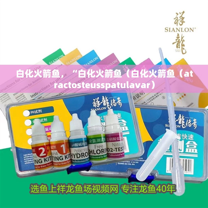 白化火箭魚，“白化火箭魚（白化火箭魚（atractosteusspatulavar）