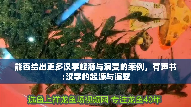 能否給出更多漢字起源與演變的案例，有聲書:漢字的起源與演變