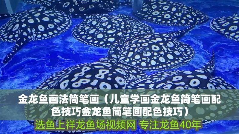 金龍魚畫法簡筆畫（兒童學(xué)畫金龍魚簡筆畫配色技巧金龍魚簡筆畫配色技巧）