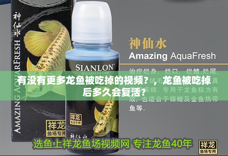有沒有更多龍魚被吃掉的視頻？，龍魚被吃掉后多久會復活？