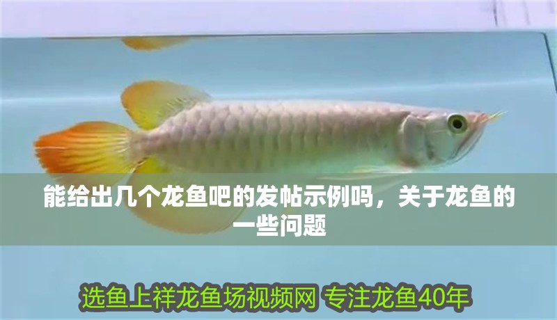 能給出幾個(gè)龍魚吧的發(fā)帖示例嗎，關(guān)于龍魚的一些問(wèn)題