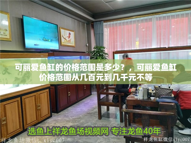 可麗愛魚缸的價格范圍是多少？，可麗愛魚缸價格范圍從幾百元到幾千元不等