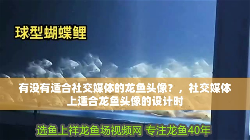 有沒有適合社交媒體的龍魚頭像？，社交媒體上適合龍魚頭像的設計時