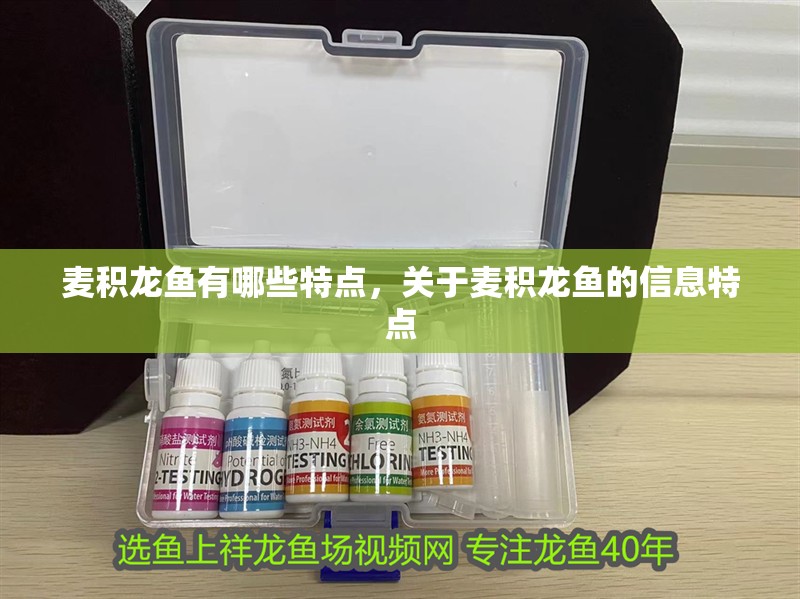 麥積龍魚有哪些特點(diǎn)，關(guān)于麥積龍魚的信息特點(diǎn)