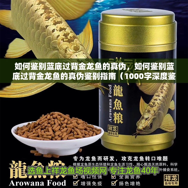 如何鑒別藍底過背金龍魚的真偽，如何鑒別藍底過背金龍魚的真偽鑒別指南（1000字深度鑒別指南）