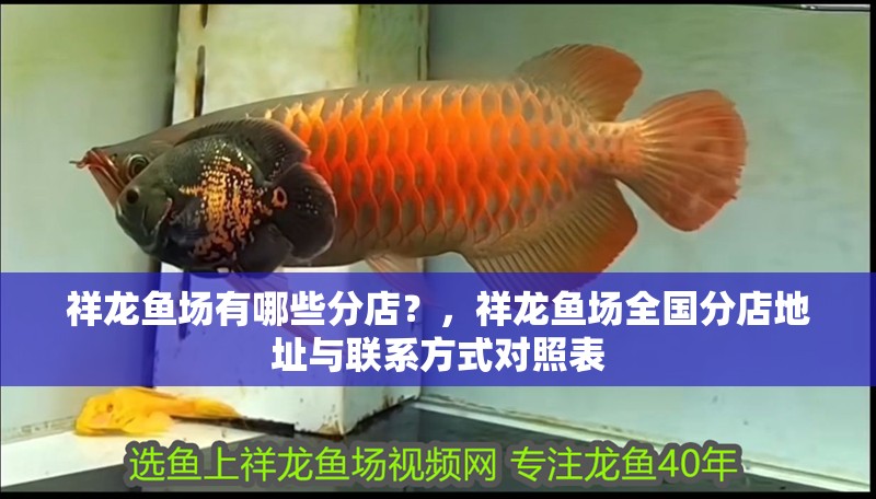 祥龍魚場有哪些分店？，祥龍魚場全國分店地址與聯(lián)系方式對照表