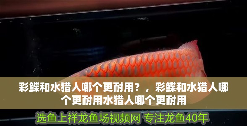 彩鰈和水獵人哪個更耐用？，彩鰈和水獵人哪個更耐用水獵人哪個更耐用