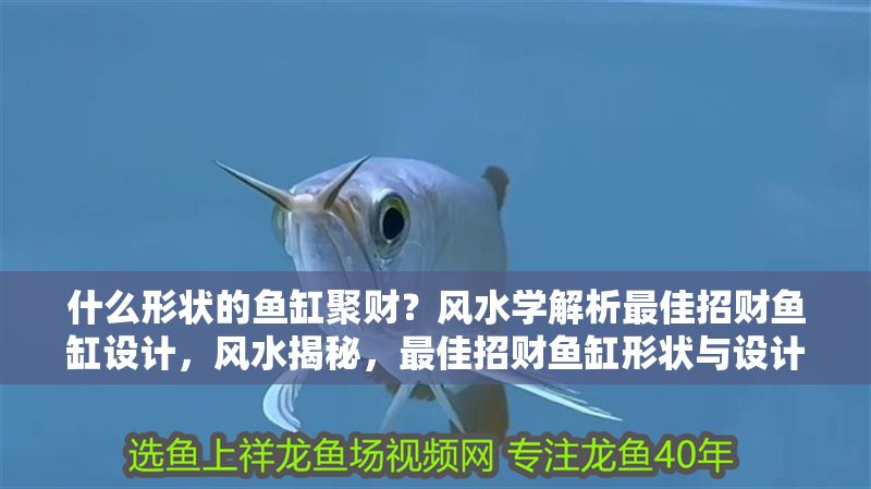 什么形狀的魚缸聚財？風水學解析最佳招財魚缸設計，風水揭秘，最佳招財魚缸形狀與設計全解析