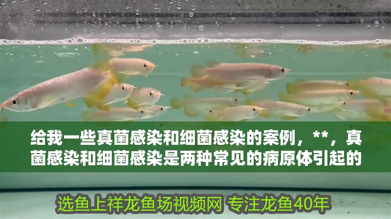 給我一些真菌感染和細菌感染的案例，**，真菌感染和細菌感染是兩種常見的病原體引起的疾病