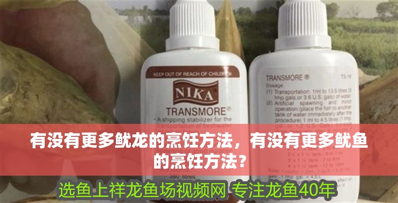 有沒有更多魷龍的烹飪方法，有沒有更多魷魚的烹飪方法？