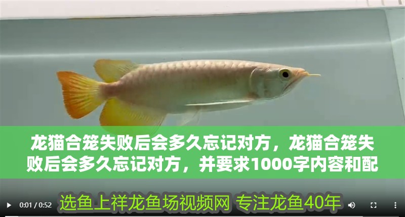 龍貓合籠失敗后會多久忘記對方，龍貓合籠失敗后會多久忘記對方，并要求1000字內容和配圖