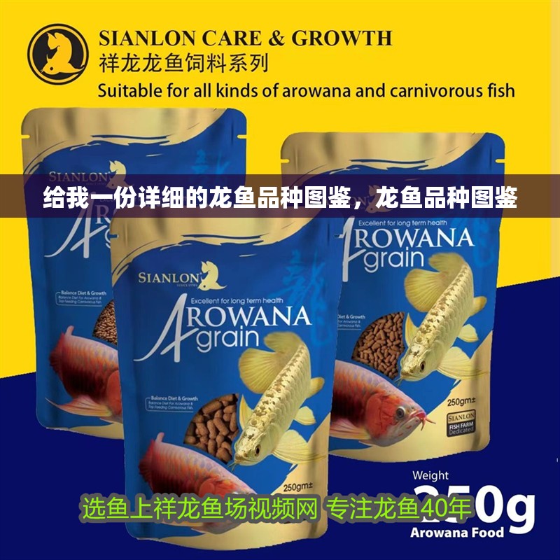 給我一份詳細(xì)的龍魚品種圖鑒，龍魚品種圖鑒