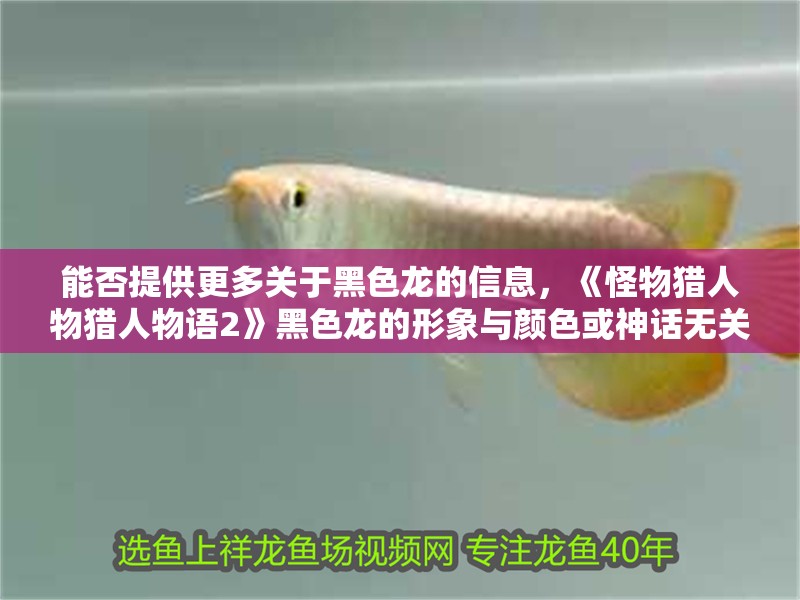 能否提供更多關(guān)于黑色龍的信息，《怪物獵人物獵人物語2》黑色龍的形象與顏色或神話無關(guān)
