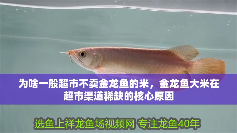 為啥一般超市不賣金龍魚的米，金龍魚大米在超市渠道稀缺的核心原因