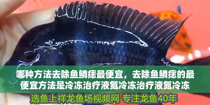 哪種方法去除魚鱗痣最便宜，去除魚鱗痣的最便宜方法是冷凍治療液氮冷凍治療液氮冷凍