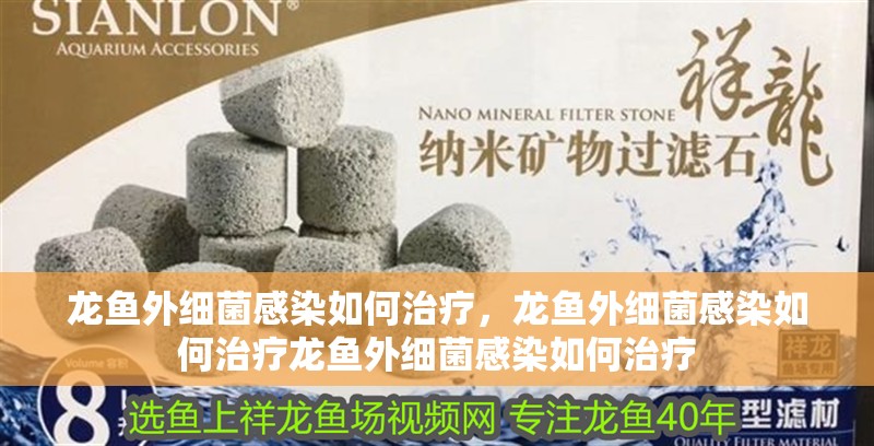 龍魚外細菌感染如何治療，龍魚外細菌感染如何治療龍魚外細菌感染如何治療