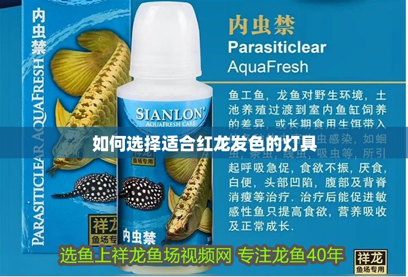 如何選擇適合紅龍發(fā)色的燈具