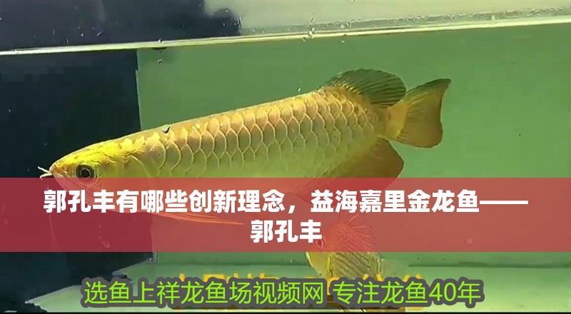 郭孔豐有哪些創(chuàng)新理念，益海嘉里金龍魚(yú)——郭孔豐