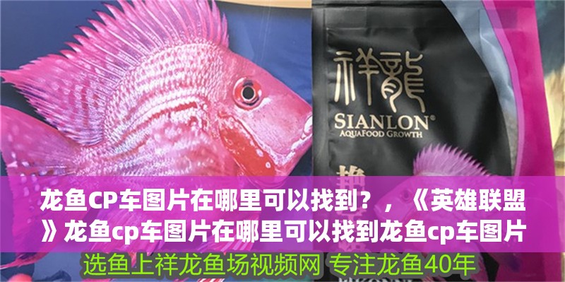龍魚CP車圖片在哪里可以找到？，《英雄聯(lián)盟》龍魚cp車圖片在哪里可以找到龍魚cp車圖片