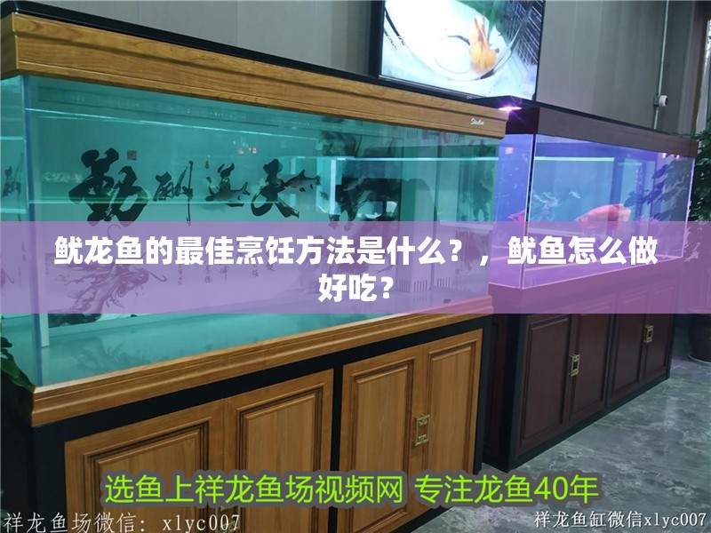 魷龍魚的最佳烹飪方法是什么？，魷魚怎么做好吃？