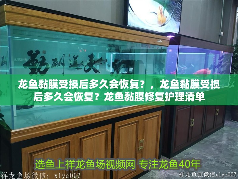 龍魚黏膜受損后多久會恢復？，龍魚黏膜受損后多久會恢復？龍魚黏膜修復護理清單