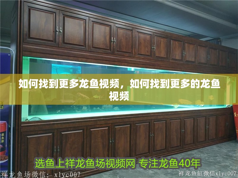 如何找到更多龍魚視頻，如何找到更多的龍魚視頻